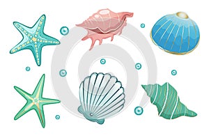 Sea shells collection stock vector illustration. Isolated on white background.