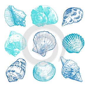 Sea shells doodle set