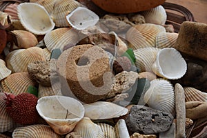 Sea shells and fireplaces for the design and mood of the good