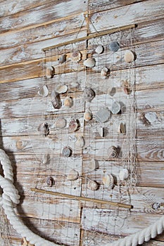 Sea shells in a fishnet,on wooden board, summer vacation background