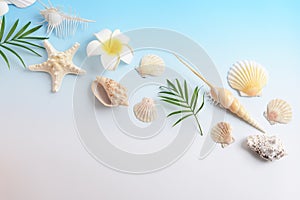Sea shells with flower