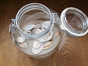 Sea shells in a glass Jar