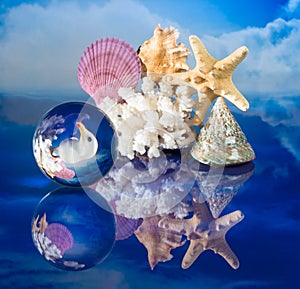 Sea shells and globe