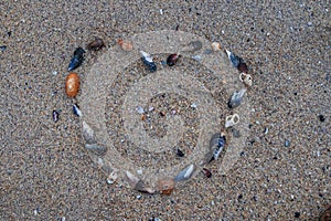 Sea shells heart between sand