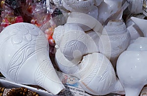 Sea shells for hindu religious devotees