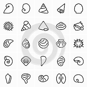 Sea shells icon