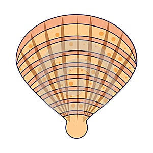 Sea shells icon cartoon isolated