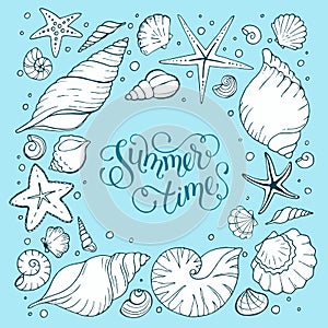 Sea shells illustration