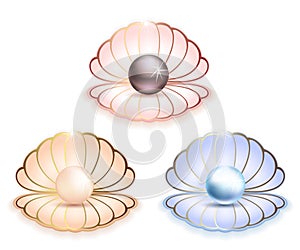 Sea shells with large pearls logo icons in gold-framed Blue, pink and gold sea shells with black, blue and gold pearls