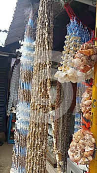 Sea shells mala