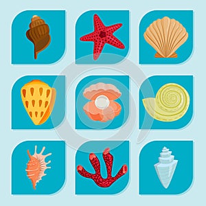 Sea shells marine cartoon clam-shell