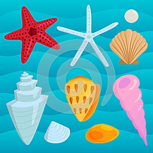 Sea shells marine cartoon clam-shell and ocean starfish coralline vector illustration