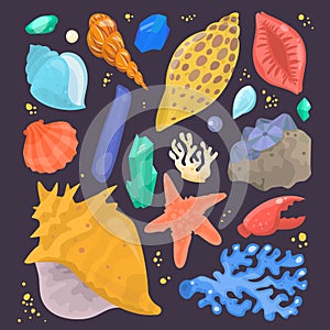 Sea shells marine cartoon clam-shell and ocean starfish coralline vector illustration isolated