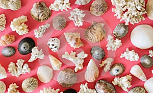 Sea shells, mussels and corals pattern