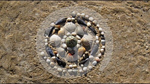 Sea shells pattern mandala appears on a sand. Stop motion animation.