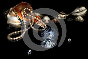 Sea Shells,Pearl Necklace and Rhinestone.Black Background