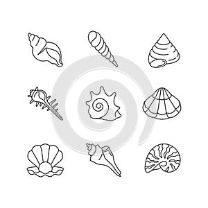 Sea shells pixel perfect linear icons set