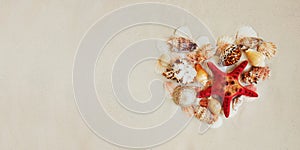 Sea shells and red star fish on sandy beach with copy space for text