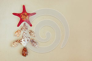 Sea shells and red star fish on sandy beach with copy space for text. Noel christmas concept.