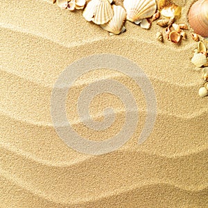 El mar conchas arena 