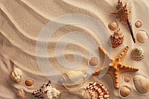 Il mare conchiglie sabbia 