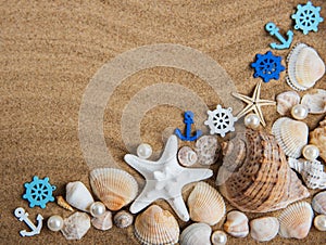 Sea shells with sand as background