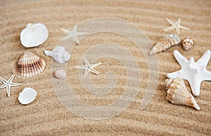 Sea shells with sand as background