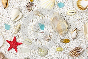 Sea shells with sand as background