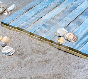 Sea shells, sand and blue wooden plank, copy space