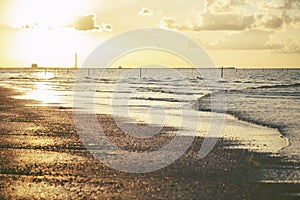 Sea shells on sand during golden sunset