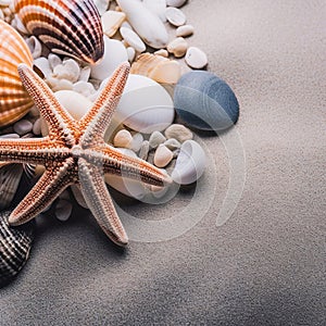 Sea shells on the sand. Starfish sea stones and seashells background.