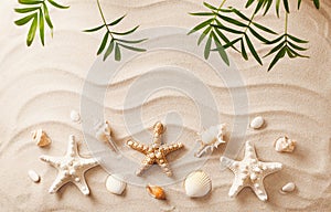 Sea shells on sand. Summer beach background