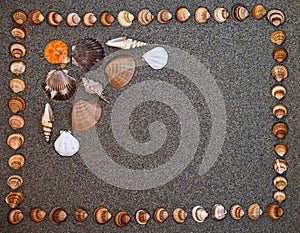 Sea shells on sand, Summer beach background,Seashells on a summer beach and sand as background, Sea shells, Travel, vacation conce