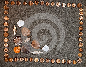 Sea shells on sand, Summer beach background,Seashells on a summer beach and sand as background, Sea shells, Travel, vacation conce