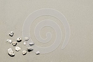 Sea shells on sand. Summer beach background. Top view