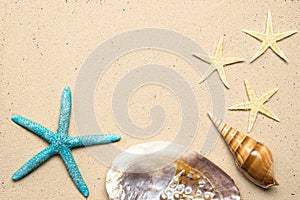 Sea shells on sand. Summer beach background. Top view