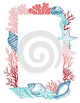 Sea shells, sea horse, sea star and corals frame