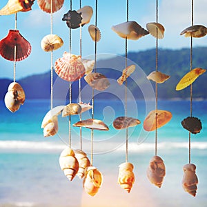 Sea Shells Sea Shore Summer Beach Concept