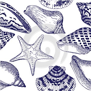 Sea Shells seamless pattern