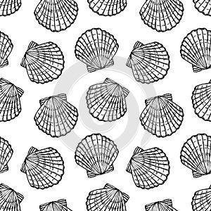 Sea shells seamless vector pattern photo
