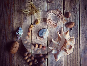 Sea shells and seashells on sand wood background