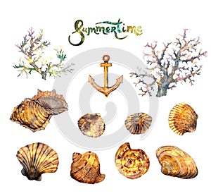 Sea shells set. Shimmering luminous golden seashells, corals and anchor design. Watercolor summer underwater clip art