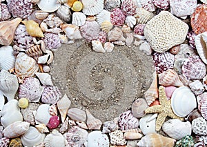 Sea shells in the shape of a heart