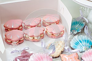 Sea shells shaped french macaroons in soft pastel pink and blue colors