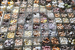 Sea shells shop