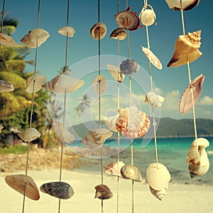 Sea Shells Shore Malaysia Beach Concept