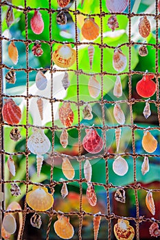 Sea shells souvenirs