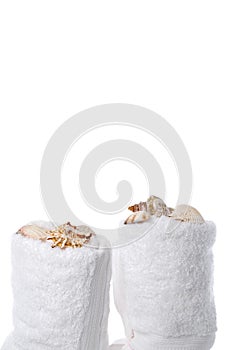 Sea shells on spa towels