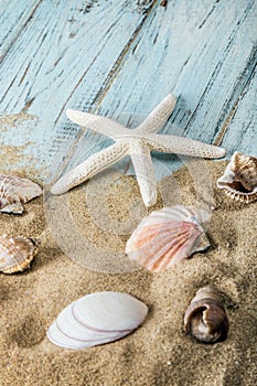 Sea shells and starfish on a blue wooden background and sand