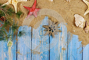 Sea shells and starfish on a branch of christmas tree with blue wooden background